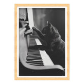 Il Musicista Quattrozampe
